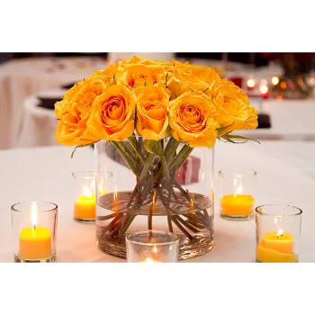 Fresh Yellow Rose